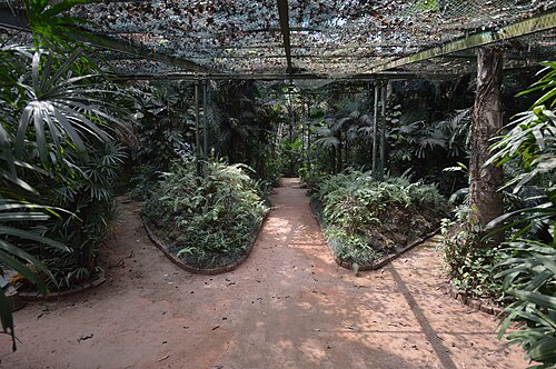 AJCボース・インド植物園の大パームハウスとサボテン温室, シブプル、ハウラー、西ベンガル州