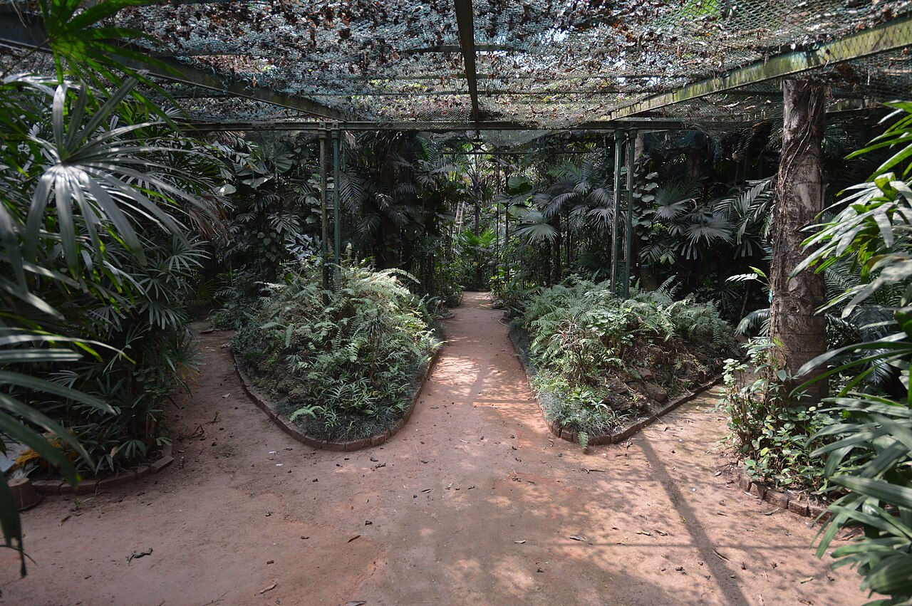 AJCボース・インド植物園の大パームハウスとサボテン温室, シブプル、ハウラー、西ベンガル州