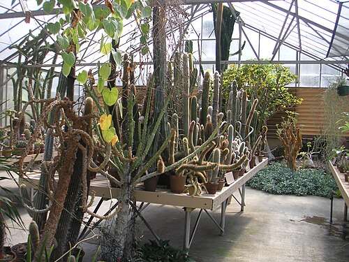 Desert Garden Conservatory, The Huntington, San Marino, Californie