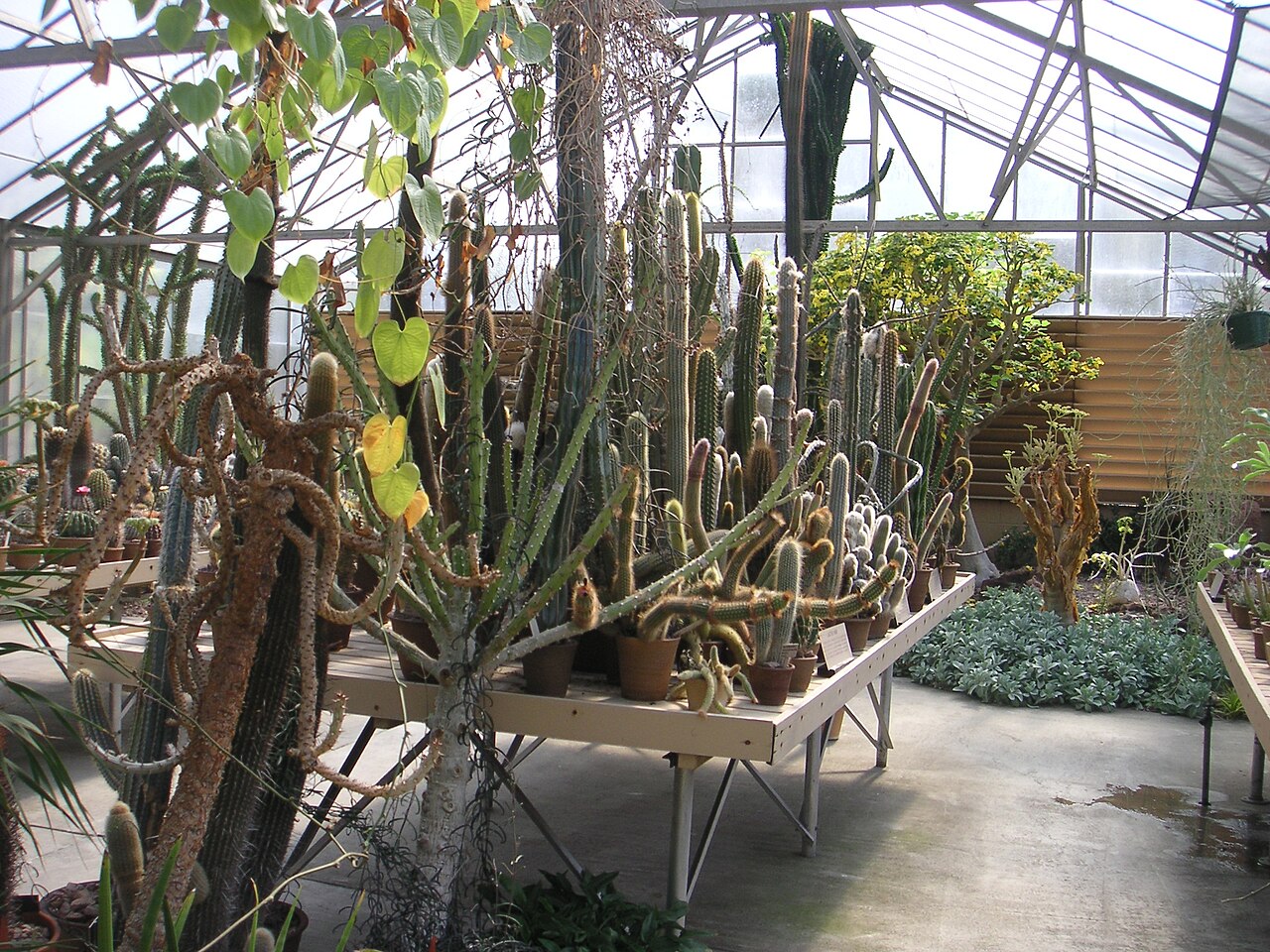 Desert Garden Conservatory, The Huntington, San Marino, Californie
