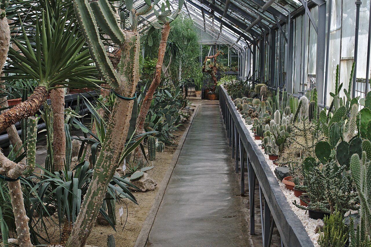 Greenhouse Complex of the “Anastasie Fătu” Botanical Garden (Complexul de sere), Iași, Iași County