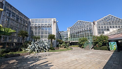 市川市観賞植物園 大温室・サボテン温室, 千葉県市川市（大町公園）