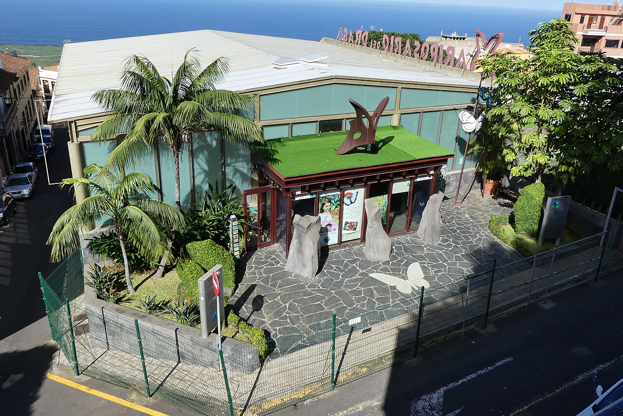 ドラゴ・バタフライパーク(Mariposario del Drago), カナリア諸島、テネリフェ島、イコド・デ・ロス・ビノス