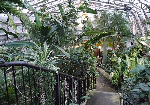 Tropical House and Cactus House, Inverness Botanic Gardens, Inverness, Highland, Scotland