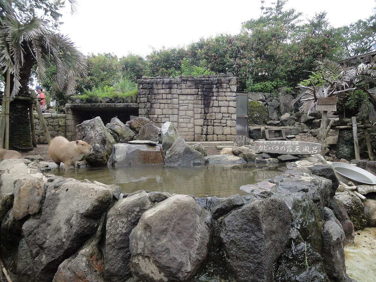 Pyramid Cactus Greenhouses, Izu Shaboten Zoo (伊豆シャボテン動物公園), Itō, Shizuoka Prefecture