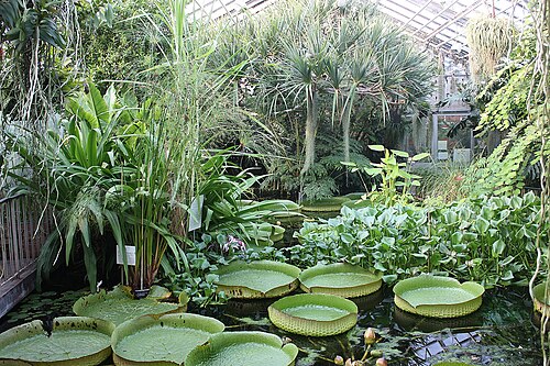 イェーナ植物園の温室群（ボタニッシャー・ガルテン・イェーナ）, テューリンゲン州イェーナ