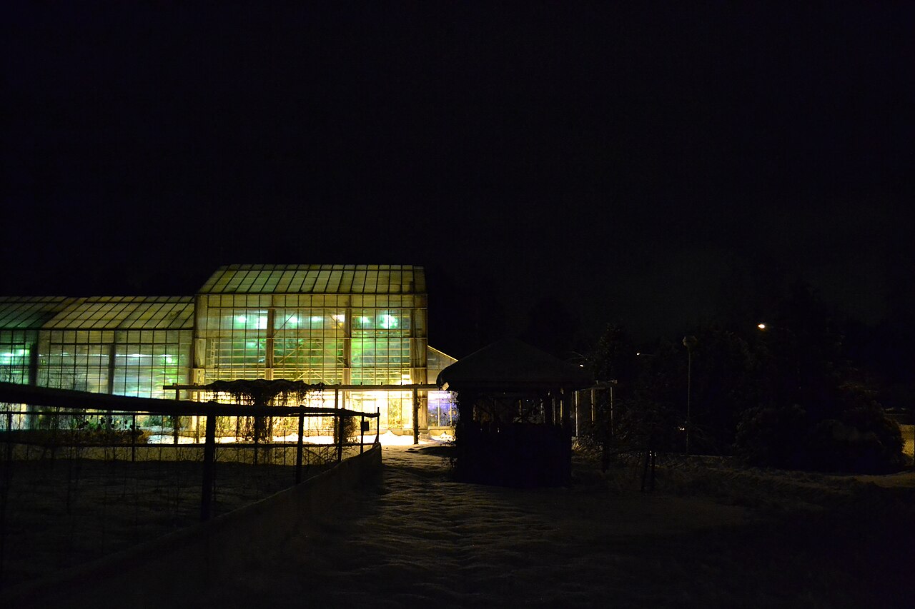 Botania, Botanischer Garten Joensuu (Taidepuutarha Botania), Joensuu, Nordkarelien
