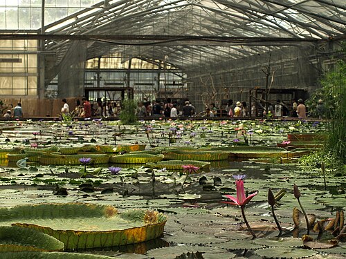掛川花鳥園の大温室, 静岡県掛川市