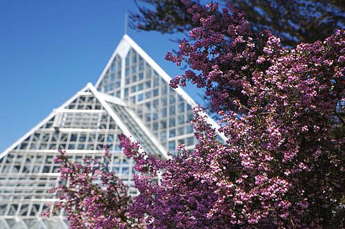 Great Greenhouse, Osaka Prefectural Flower Culture Garden (大阪府立花の文化園 大温室), Kawachinagano, Osaka Prefecture