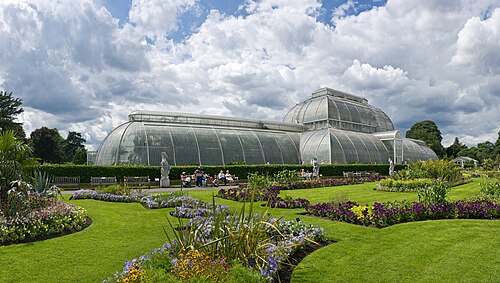 Palm House, Kew, Londres