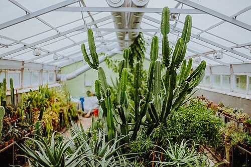N・A・アヴローリン名称極地・高山植物園研究所の温室群, キロフスク、ムルマンスク州
