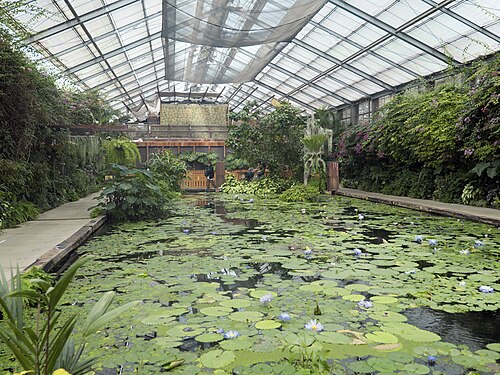 Glashaus Inside Park, Kobe Animal Kingdom (神戸どうぶつ王国), Port Island, Kobe, Präfektur Hyōgo