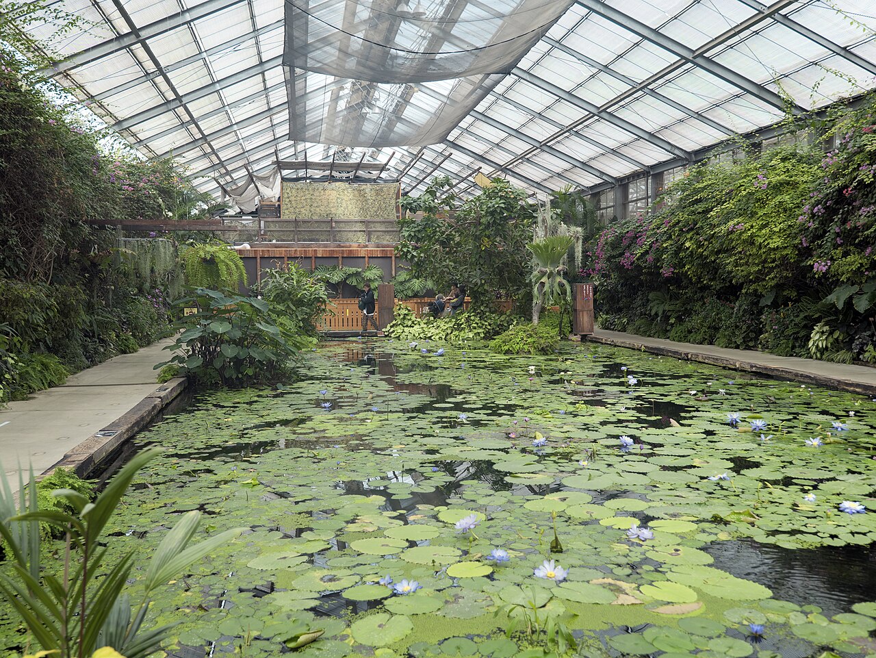 Glashaus Inside Park, Kobe Animal Kingdom (神戸どうぶつ王国), Port Island, Kobe, Präfektur Hyōgo