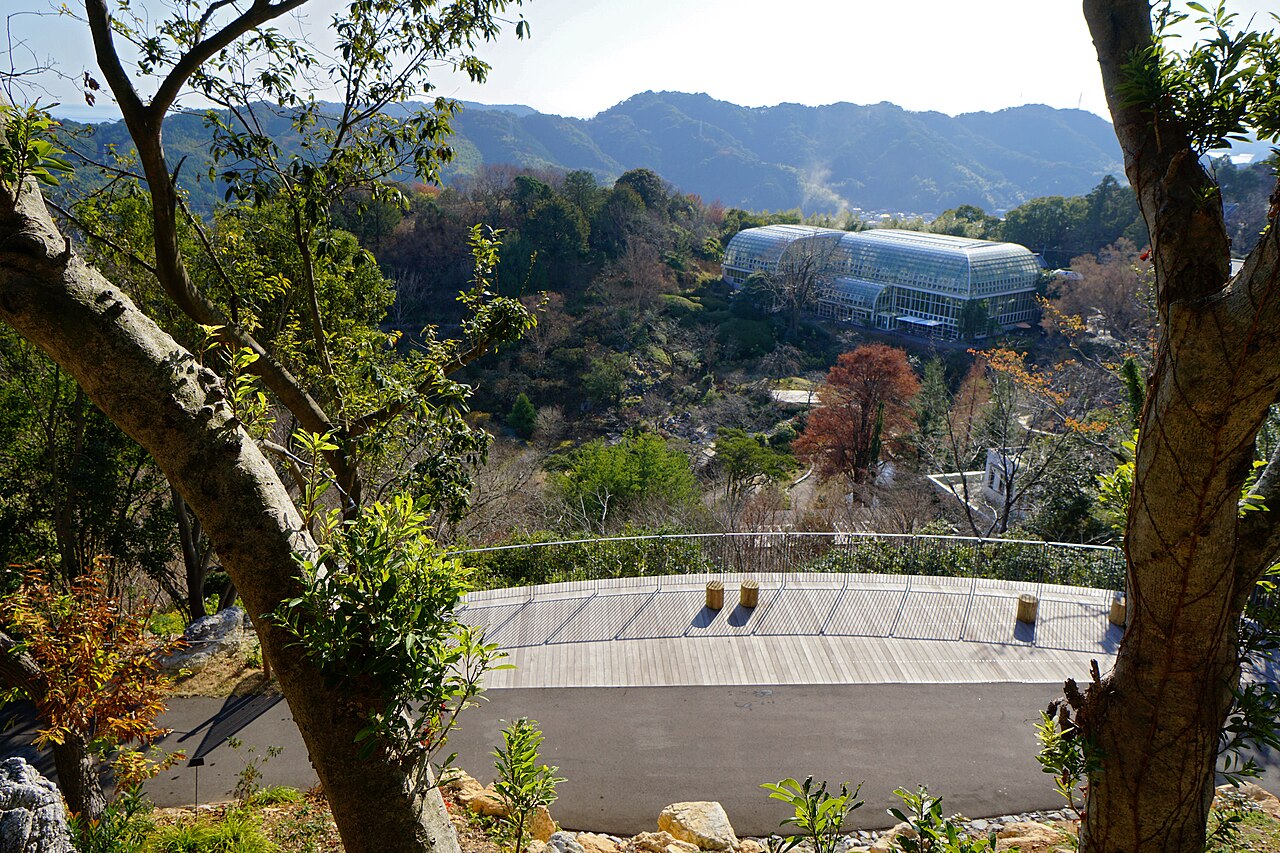 Serre du jardin botanique Makino (高知県立牧野植物園 温室), Kōchi, préfecture de Kōchi