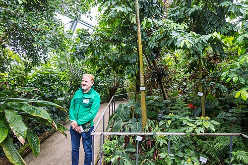 Schaugewächshäuser de la Flora et du Jardin botanique de Cologne, Cologne, Rhénanie-du-Nord-Westphalie