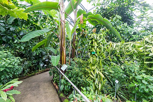 ケルン・フローラ植物園の展示温室群（Schaugewächshäuser）, ノルトライン＝ヴェストファーレン州ケルン