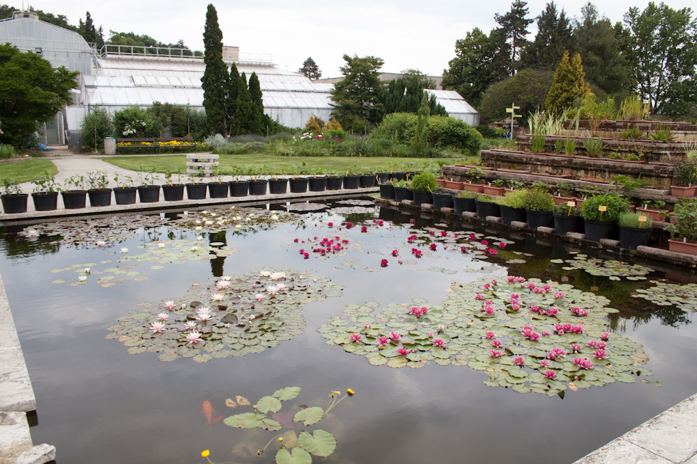 Gewächshäuser des Botanischen Gartens der Pavol-Jozef-Šafárik-Universität (UPJŠ), Košice, Region Košice