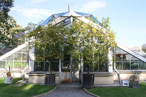 Gewächshäuser des Botanischen Gartens der Jagiellonen-Universität (Warszewicz-Orangerie), Krakau