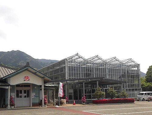 久留米市世界のつばき館 ツバキ展示施設, 福岡県久留米市（草野地区）