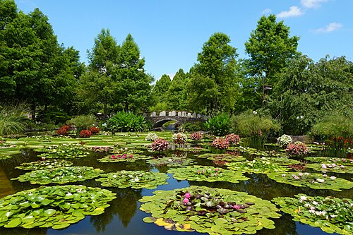 Lotus Hall Atrium Greenhouse, Mizunomori Water Botanical Garden (草津市立水生植物公園みずの森 ロータス館), Kusatsu, Shiga Prefecture