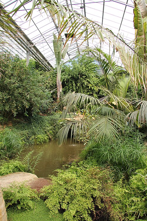 Tropisch Paradijs, tropische Halle des Parks Mondo Verde, Landgraaf