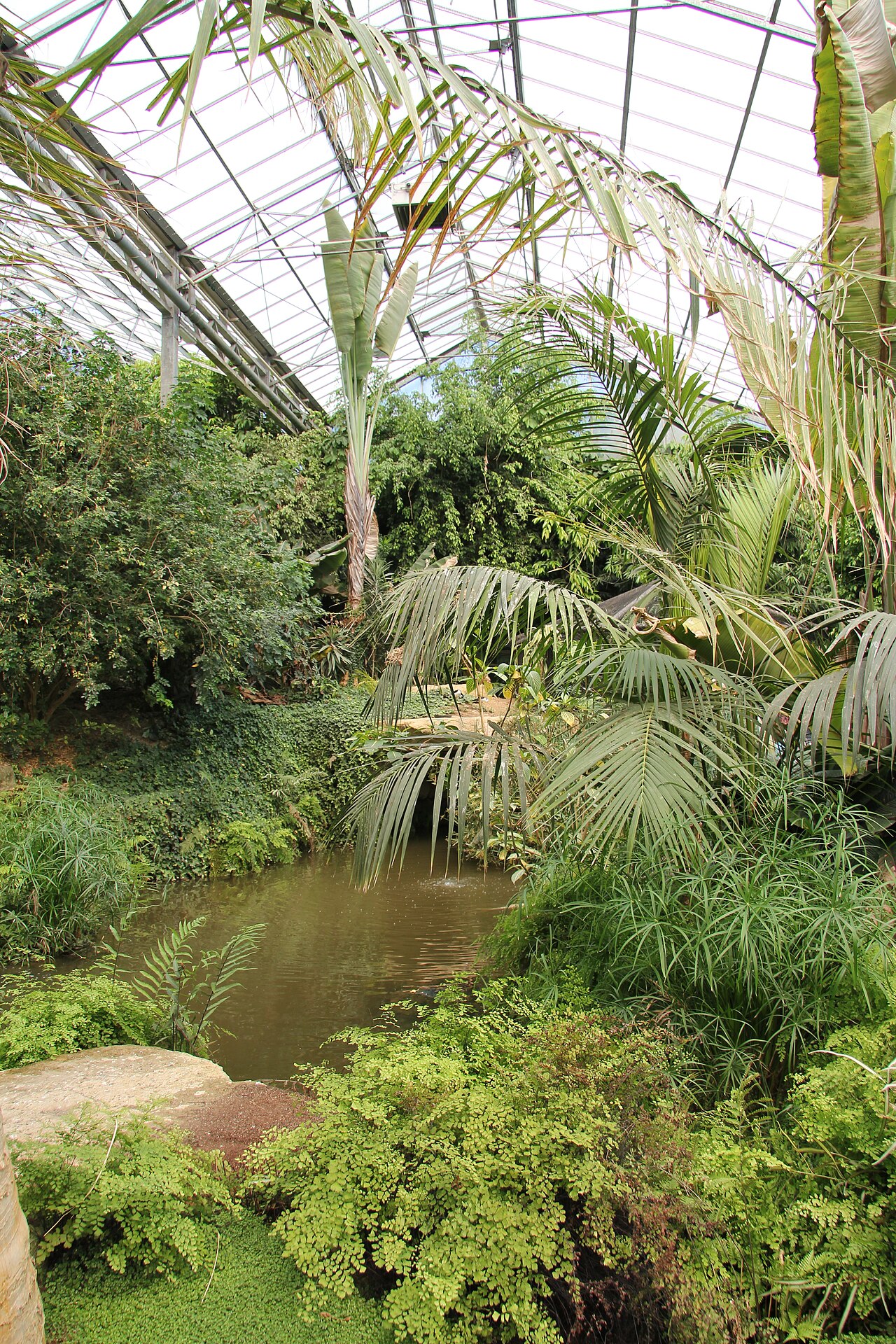 熱帯の楽園(Tropisch Paradijs)、モンド・ヴェルデ公園の熱帯館, ランハーフ(リンブルフ州)