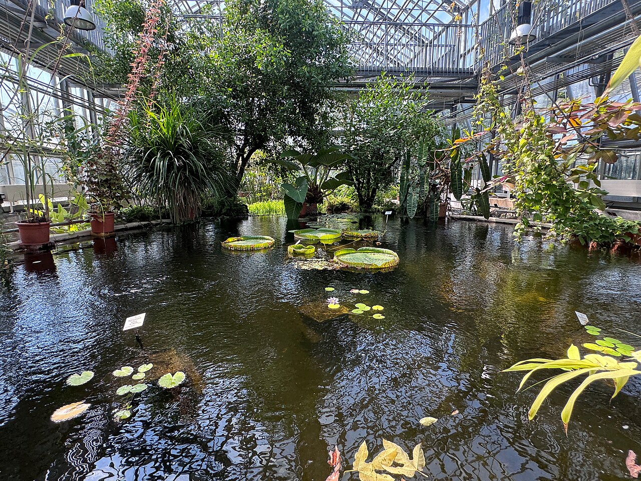 Serres et Victoriahaus du Jardin botanique de l'université de Leipzig, Leipzig, Saxe