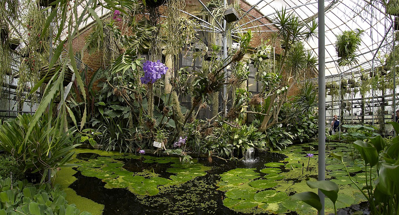 Orangery and glasshouses of the Kruidtuin (Botanic Garden), Leuven, Leuven, Flemish Brabant