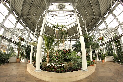Conservatoire agrandi du Lewis Ginter Botanical Garden, Richmond, Virginie