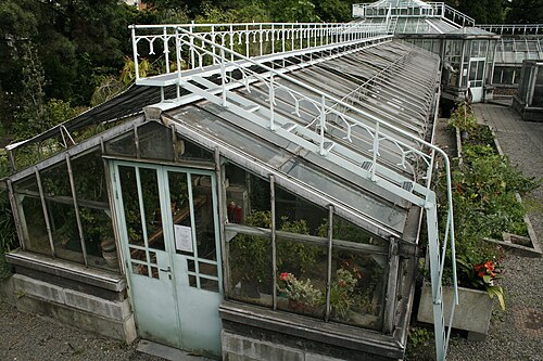 Serres du Jardin botanique de Liège, Liège, Wallonie