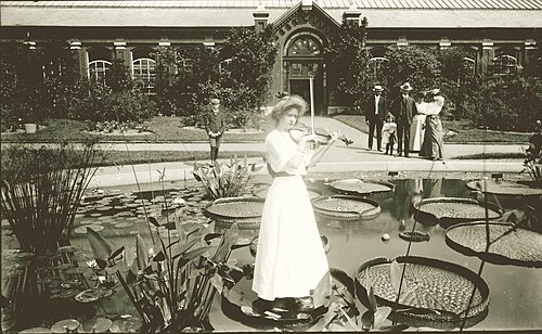 Linnean House, Missouri Botanical Garden, Saint-Louis, Missouri