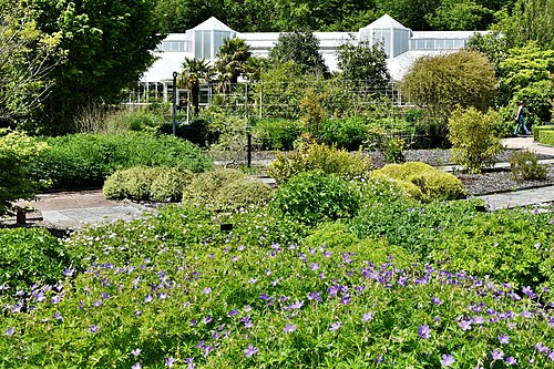 Tropical House, National Botanic Garden of Wales, Llanarthne, Carmarthenshire (Wales)