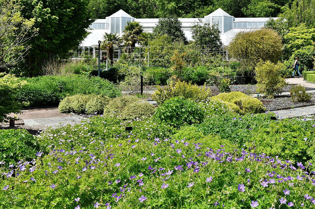 Tropenhaus, National Botanic Garden of Wales, Llanarthne, Carmarthenshire (Wales)