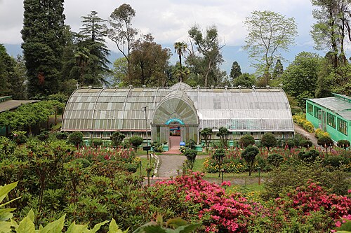 Serre et orchidarium du jardin botanique Lloyd, Darjeeling