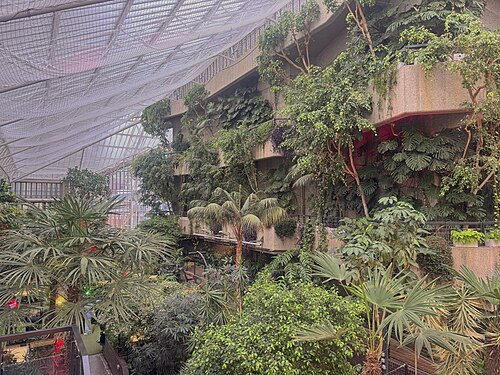 Barbican Conservatory, London, England