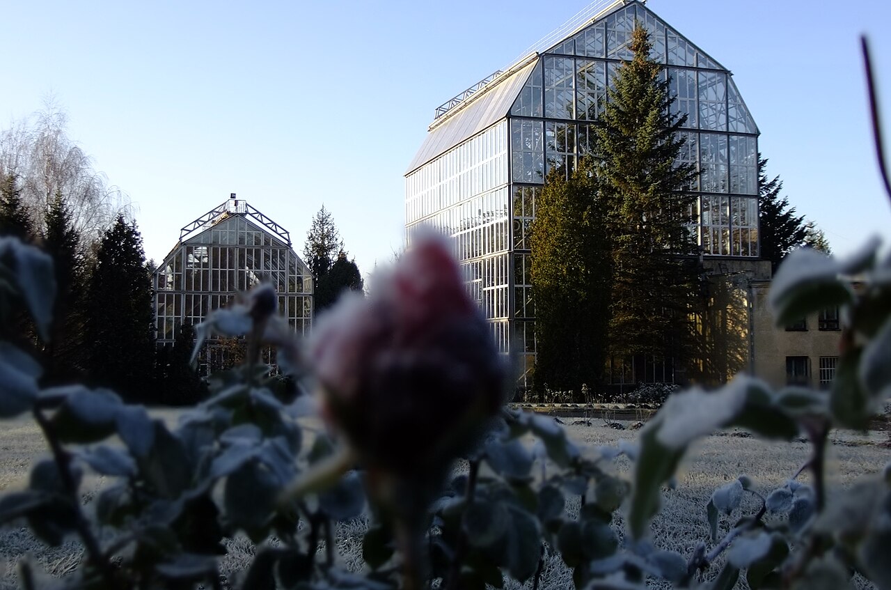 Gewächshaus des Botanischen Gartens der Nationalen Iwan-Franko-Universität Lwiw (Оранжерея Ботанічного саду Львівського університету), Lwiw