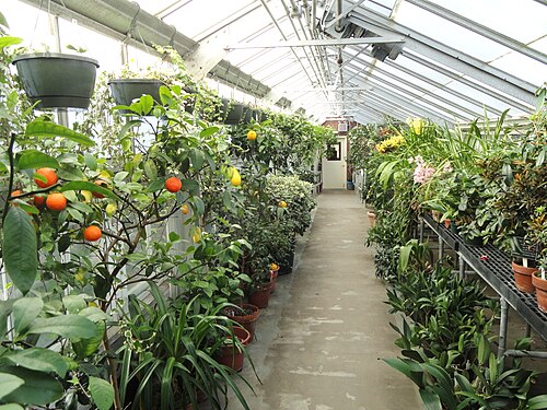 Lyman Plant House & Conservatory, Northampton, Massachusetts