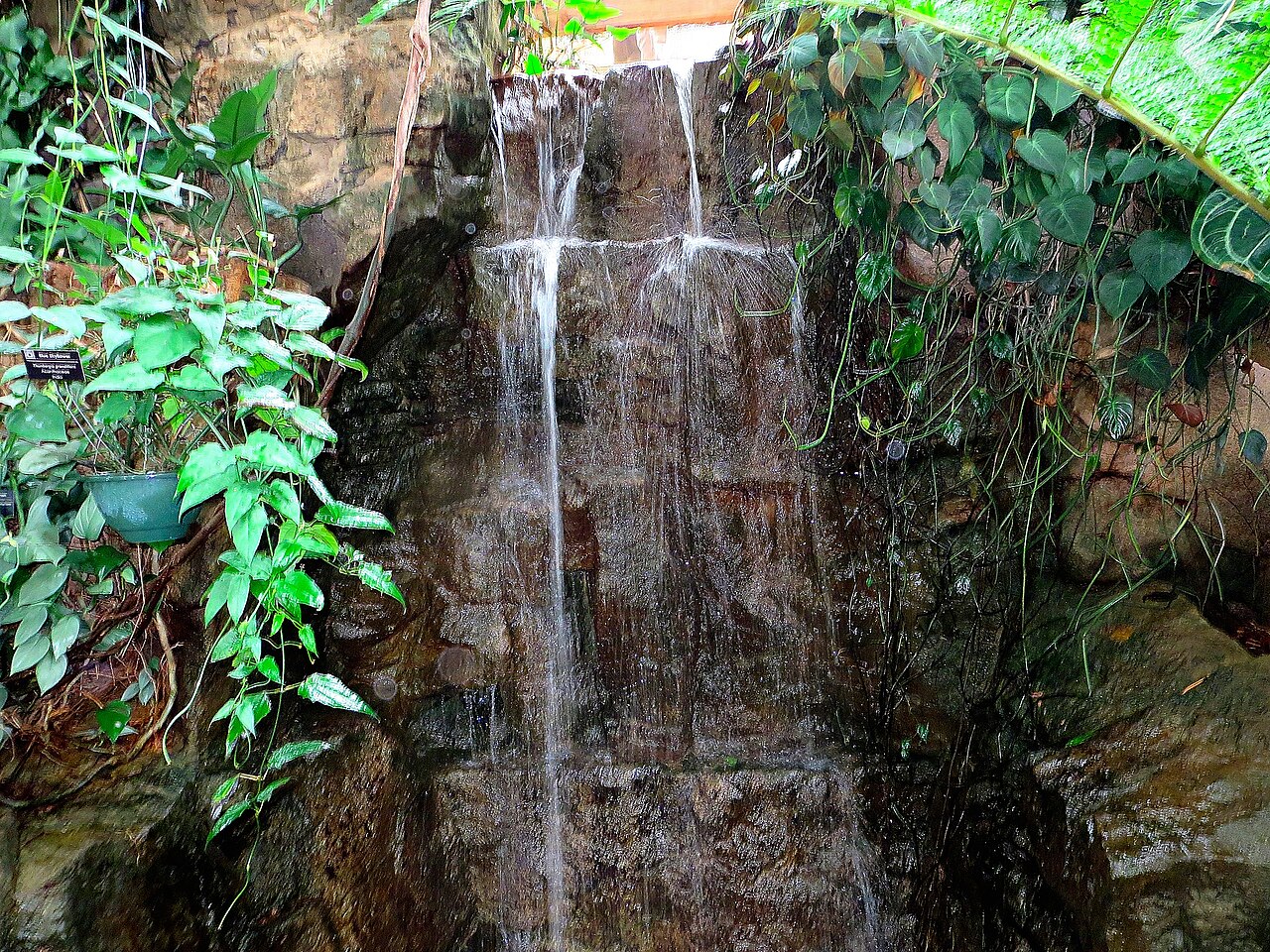 Bolz Conservatory (Olbrich Botanical Gardens), Madison, Wisconsin