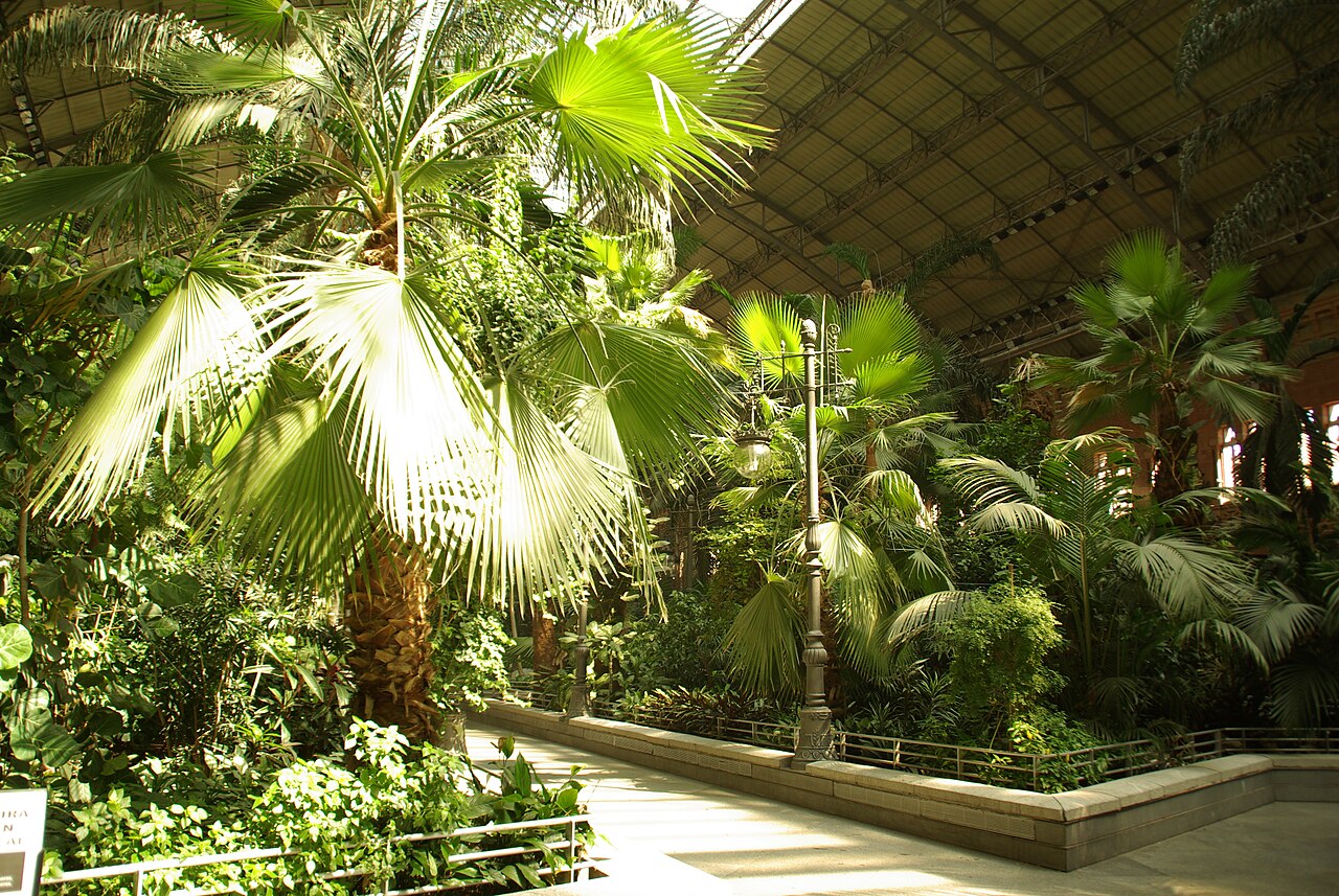 Jardin tropical de la gare d'Atocha (Jardín Tropical de Atocha), Madrid, Communauté de Madrid