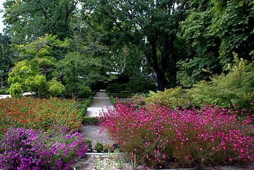 Invernaderos du Real Jardín Botánico (serre de Graells et serre Santiago Castroviejo), Madrid, Communauté de Madrid
