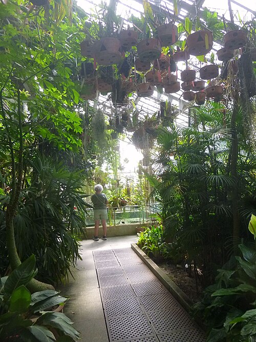 Invernaderos des Real Jardín Botánico (Graells-Gewächshaus und Santiago-Castroviejo-Gewächshaus), Madrid