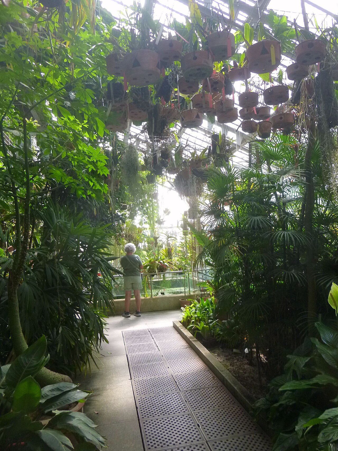 Invernaderos des Real Jardín Botánico (Graells-Gewächshaus und Santiago-Castroviejo-Gewächshaus), Madrid, Autonome Gemeinschaft Madrid
