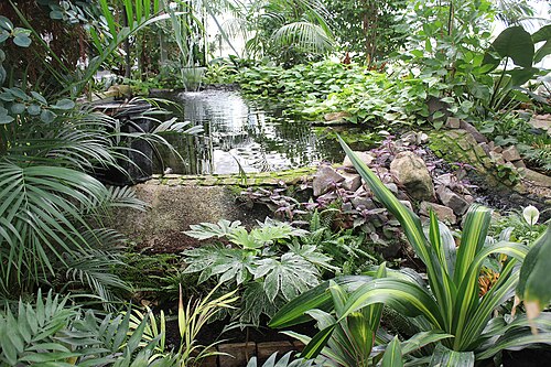 Schmetterlingshaus (Butterfly House) in the Elbauenpark, Magdeburg, Saxony-Anhalt
