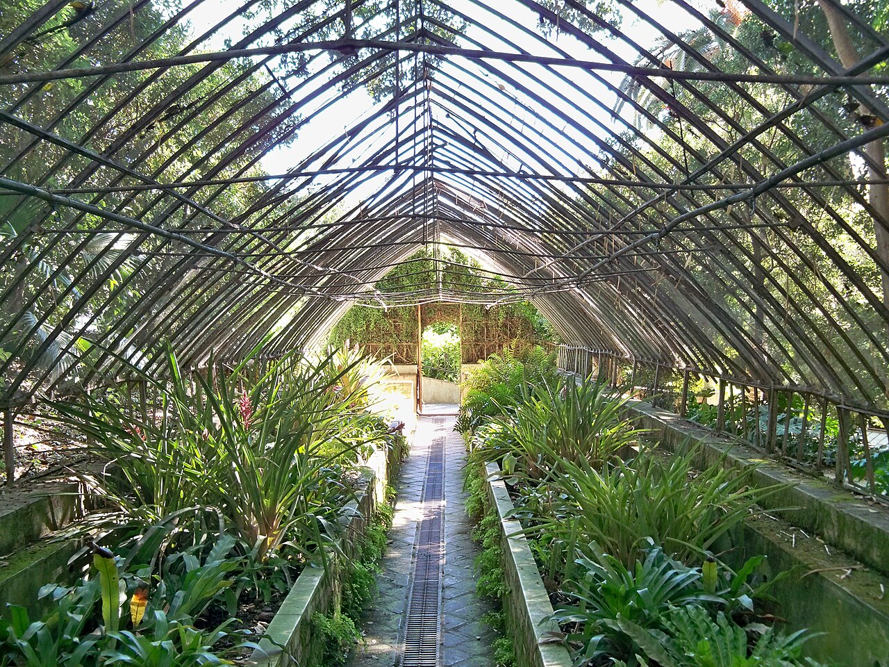 Serres du Jardin botanique-historique La Concepción (invernaderos antiguos et estufa caliente), Málaga, Andalousie