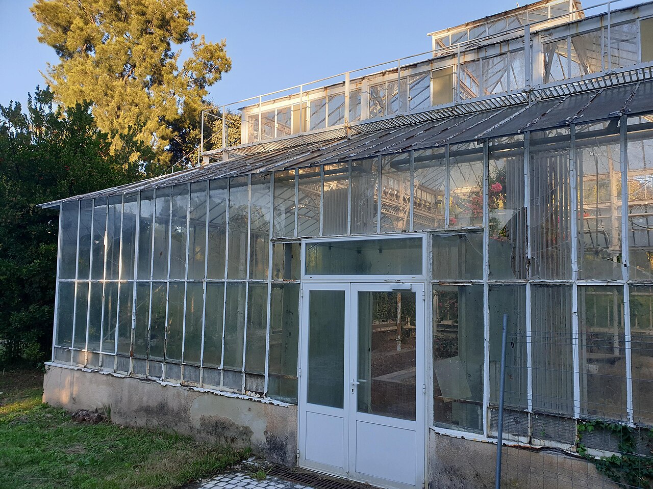 Tropengewächshaus Noilly-Prat, Jardin botanique E. M. Heckel (Parc Borély), Marseille, Provence-Alpes-Côte d'Azur