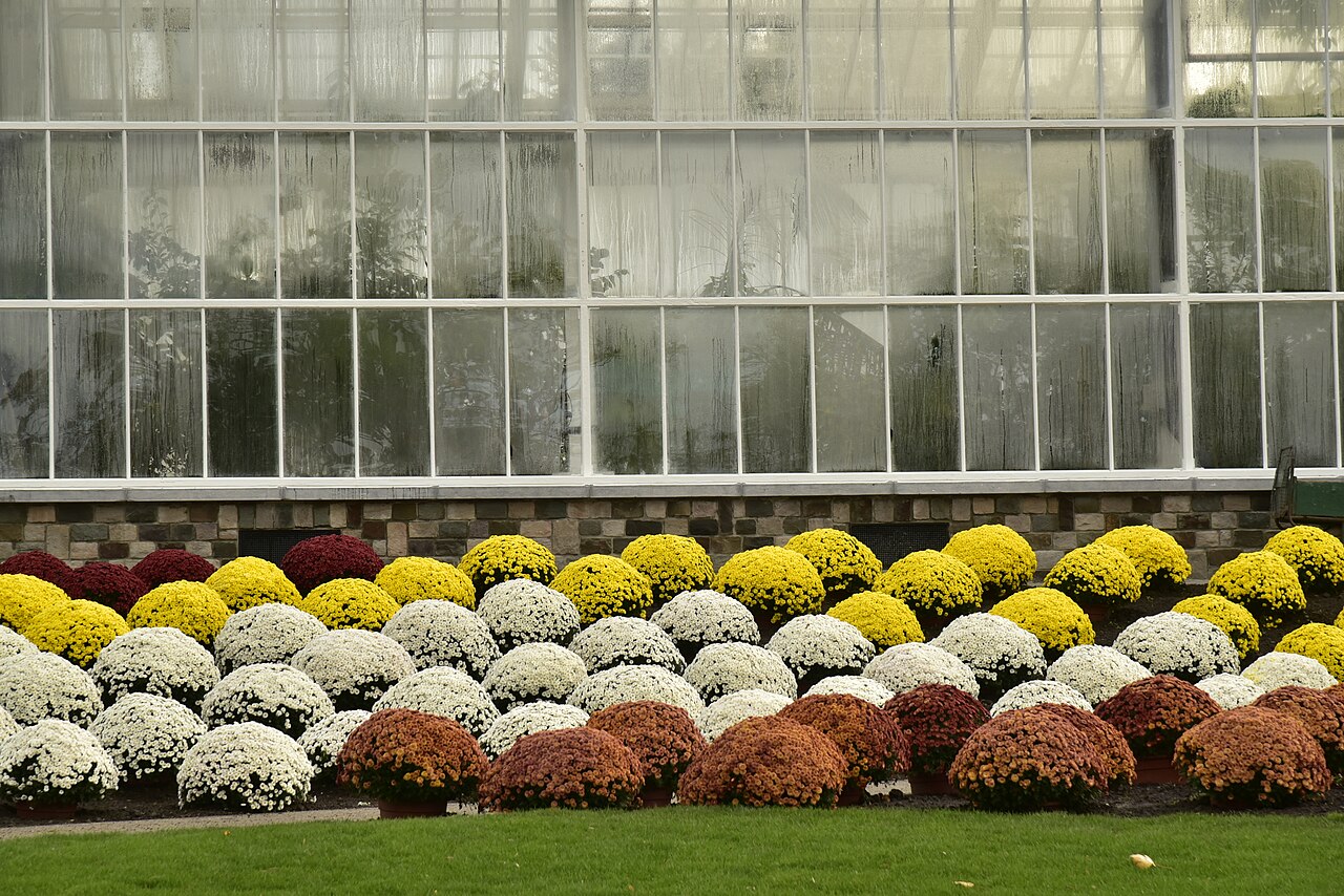 Plantenpaleis (Pflanzenpalast) des Botanischen Gartens Meise, Meise, Flämisch-Brabant