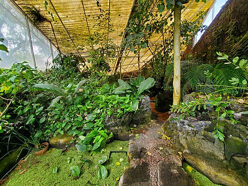 Invernadero Faustino Miranda (UNAM Botanical Garden), Mexico City, Ciudad Universitaria (Coyoacán)