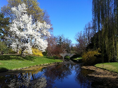 Dow Gardens Conservatory, Midland, Michigan