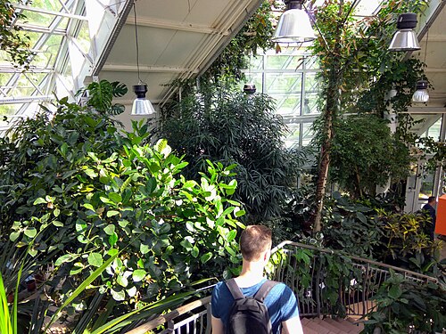 Оранжерейный комплекс du Jardin botanique central de Minsk, Minsk