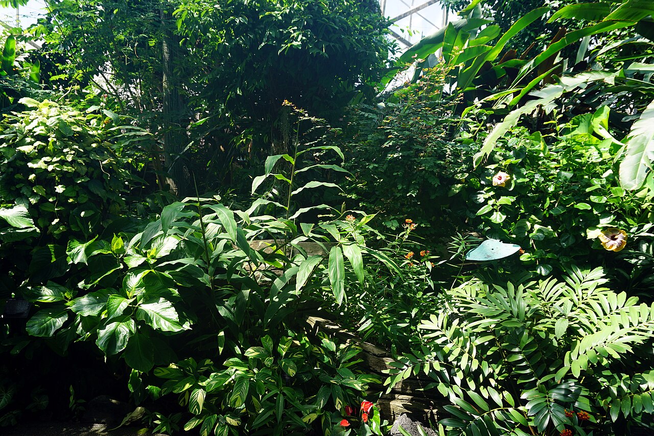 Mitchell Park Horticultural Conservatory (The Domes), Milwaukee, Wisconsin